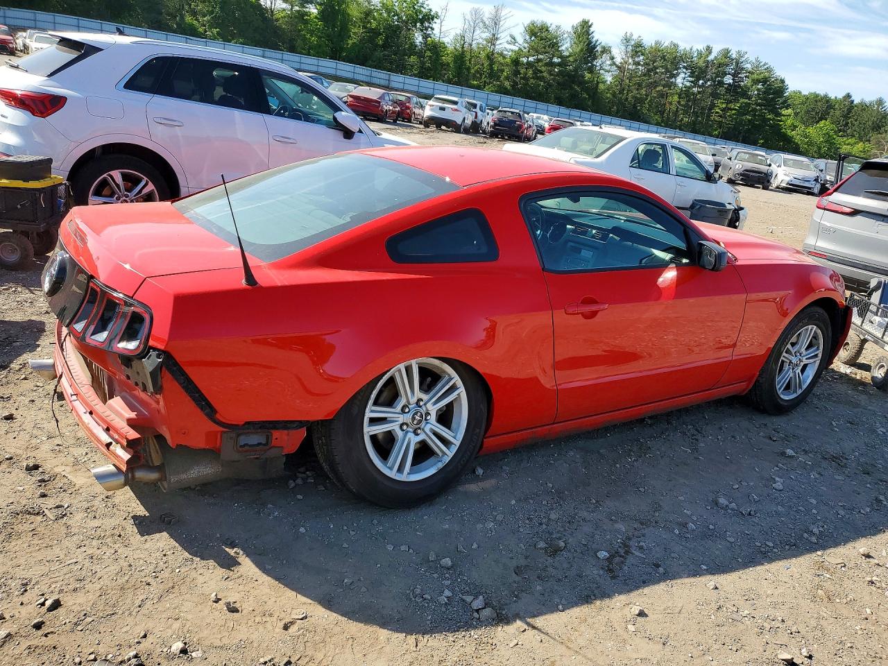 2014 FORD MUSTANG photo 5