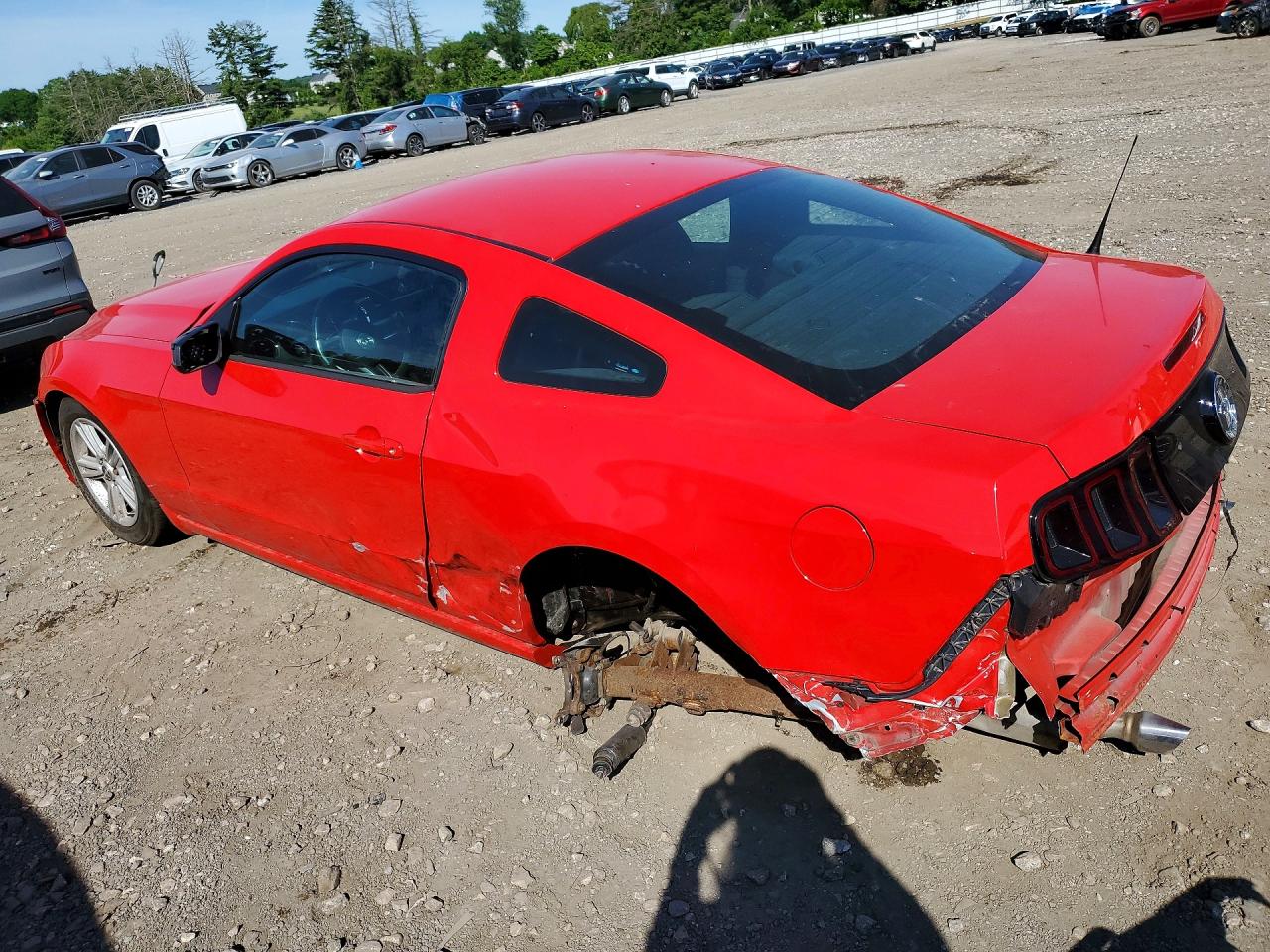 2014 FORD MUSTANG photo 3