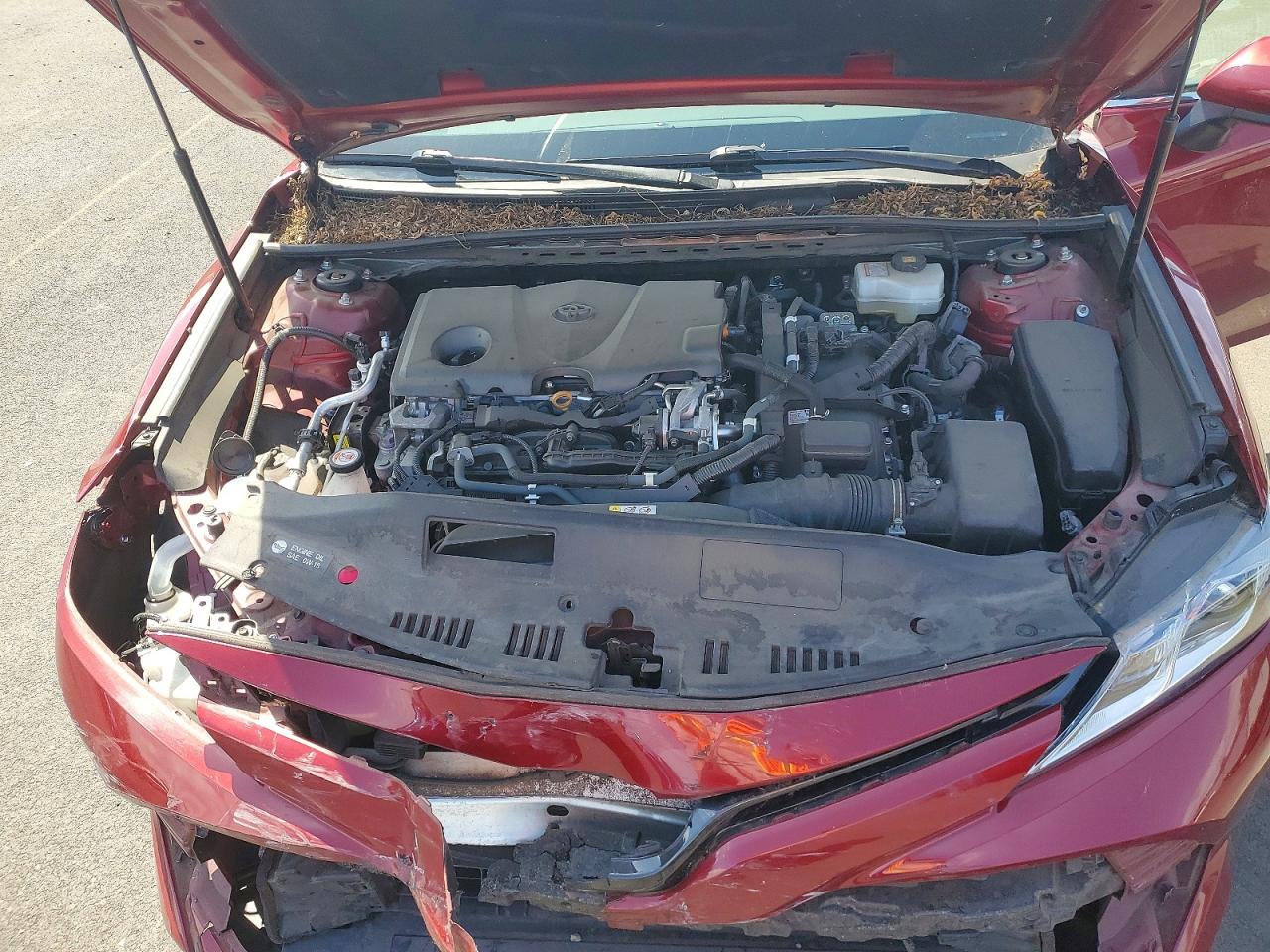 2019 TOYOTA CAMRY LE photo 11