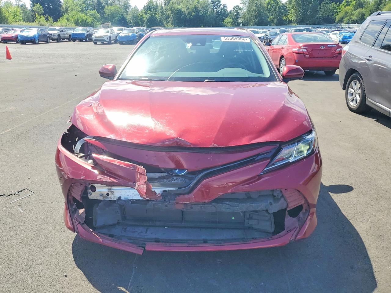 2019 TOYOTA CAMRY LE photo 5
