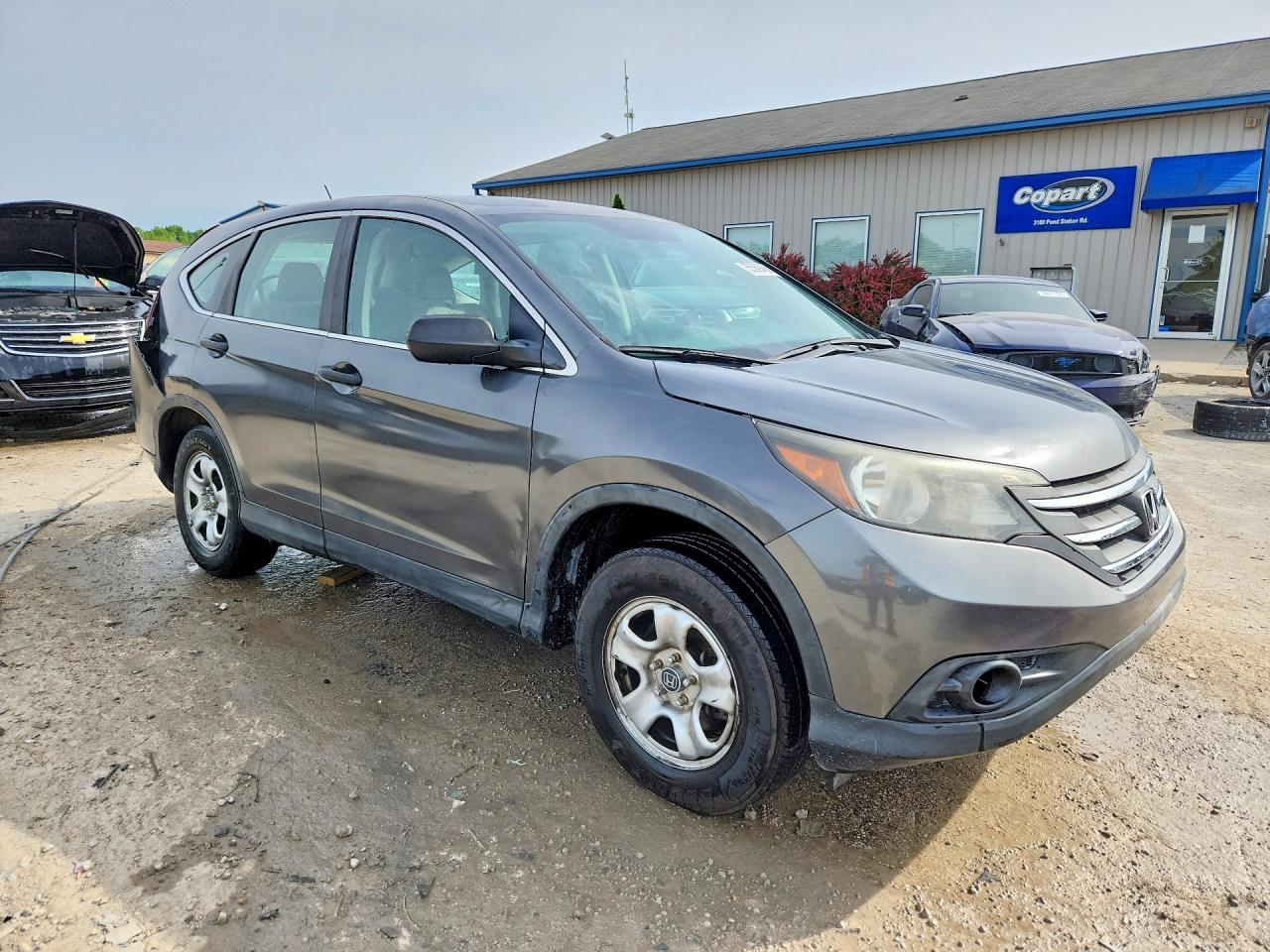 2014 HONDA CR-V LX photo 4