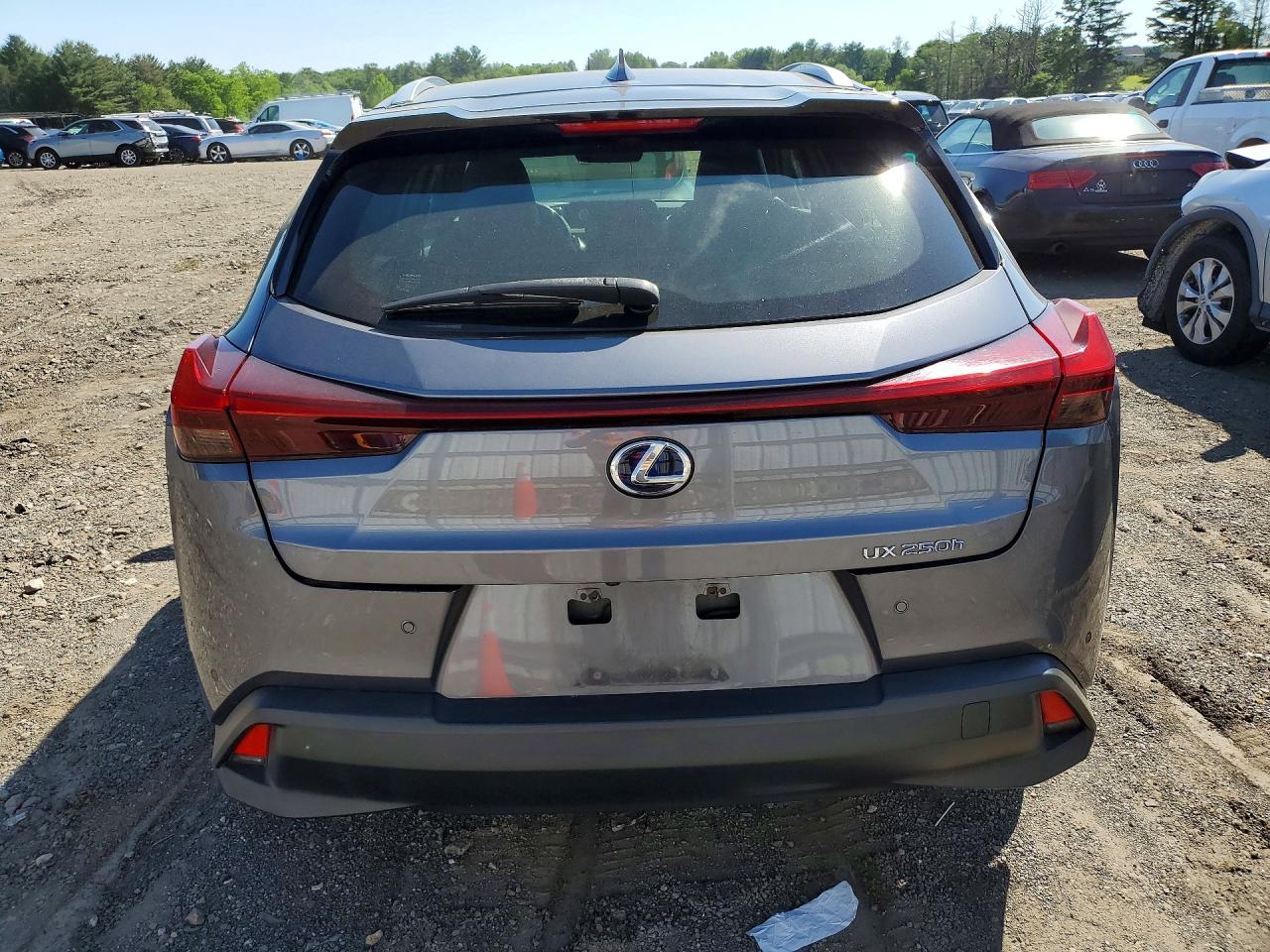 2019 LEXUS UX 250H photo 6
