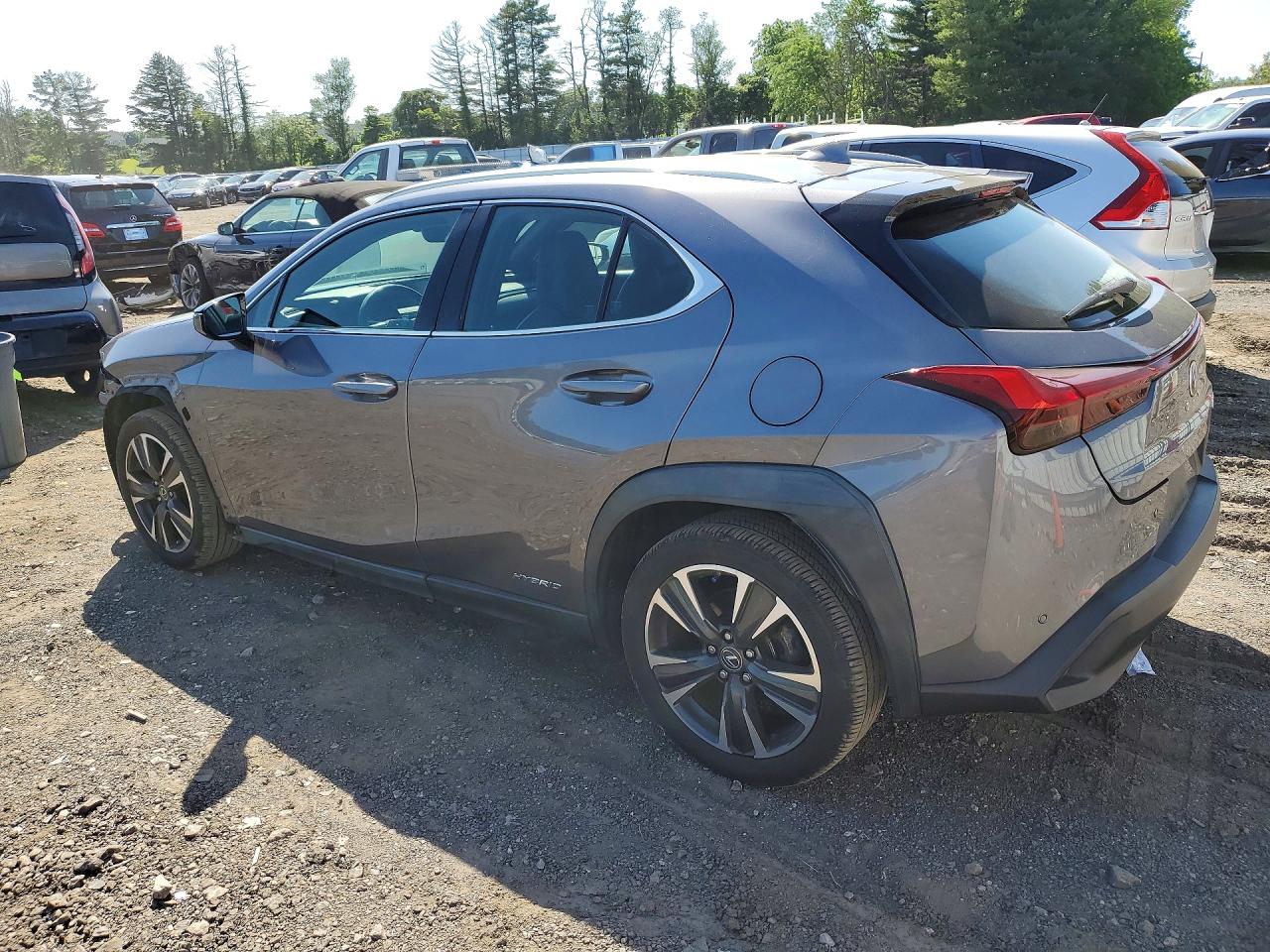 2019 LEXUS UX 250H photo 2