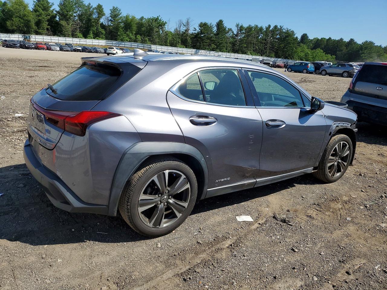 2019 LEXUS UX 250H photo 3