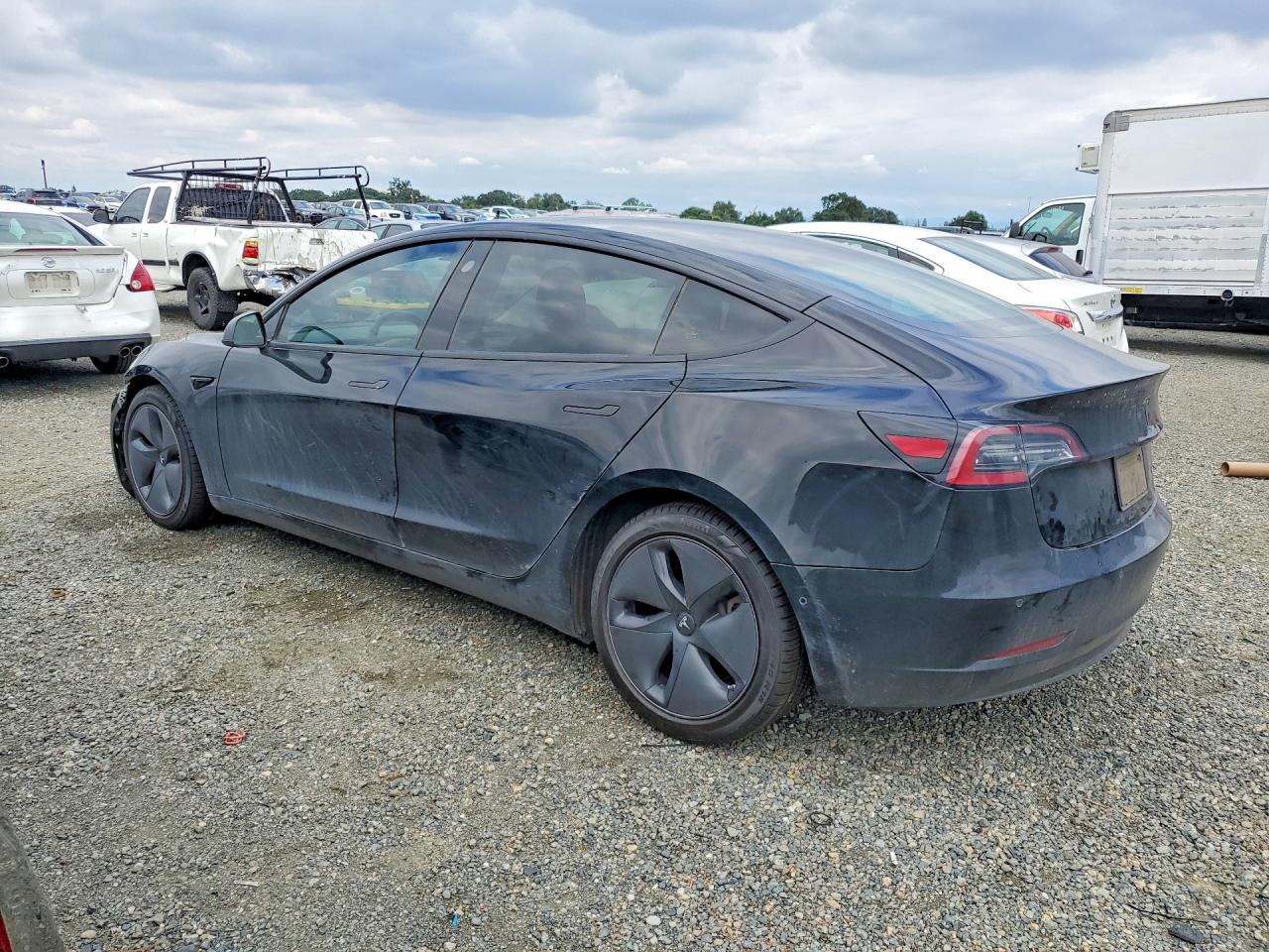 2020 TESLA MODEL 3 photo 4