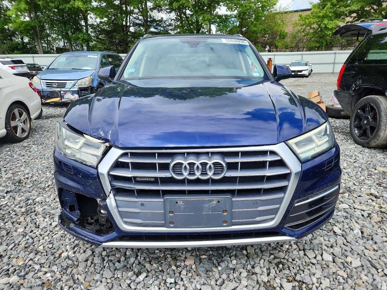 2018 AUDI Q5 PREMIUM PLUS photo 13