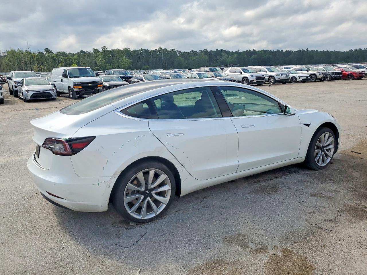 2019 TESLA MODEL 3 photo 3