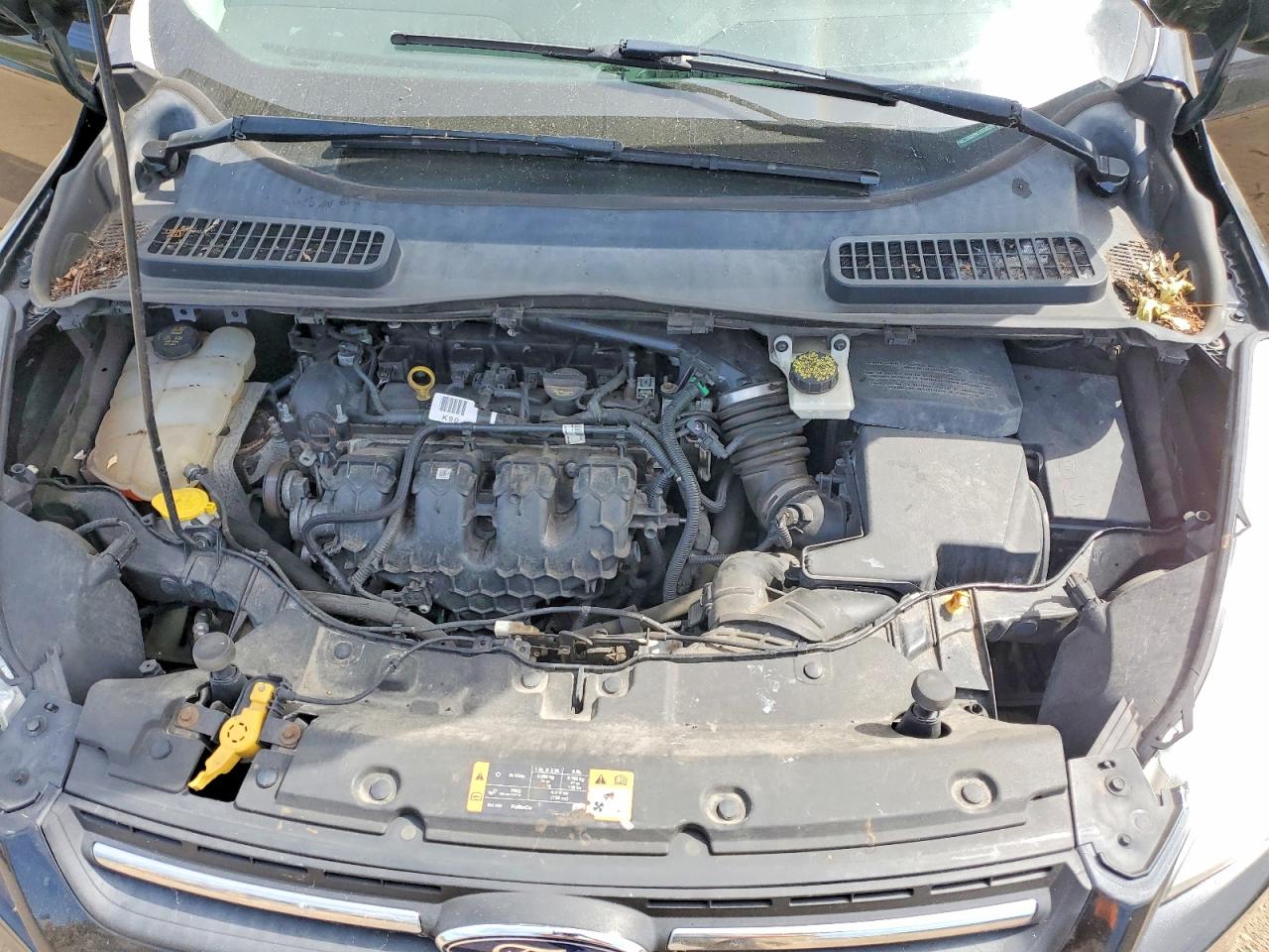 2014 FORD ESCAPE SE photo 12