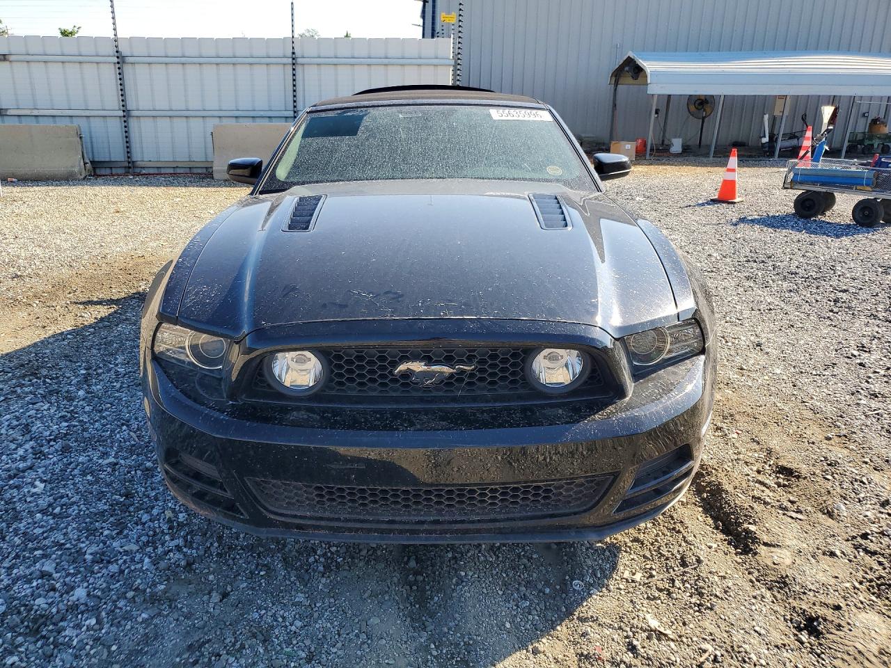 2014 FORD MUSTANG GT photo 9