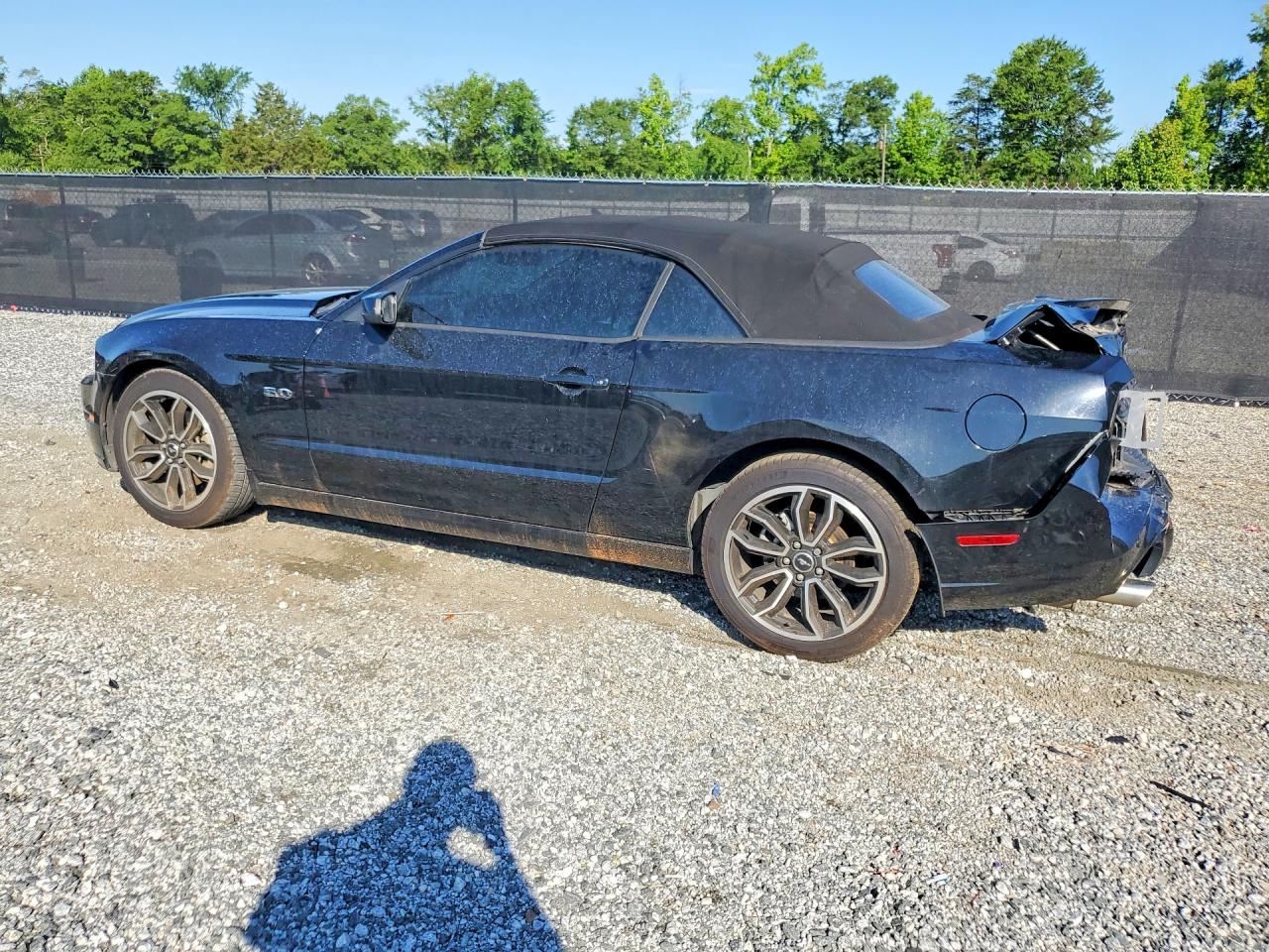 2014 FORD MUSTANG GT photo 3