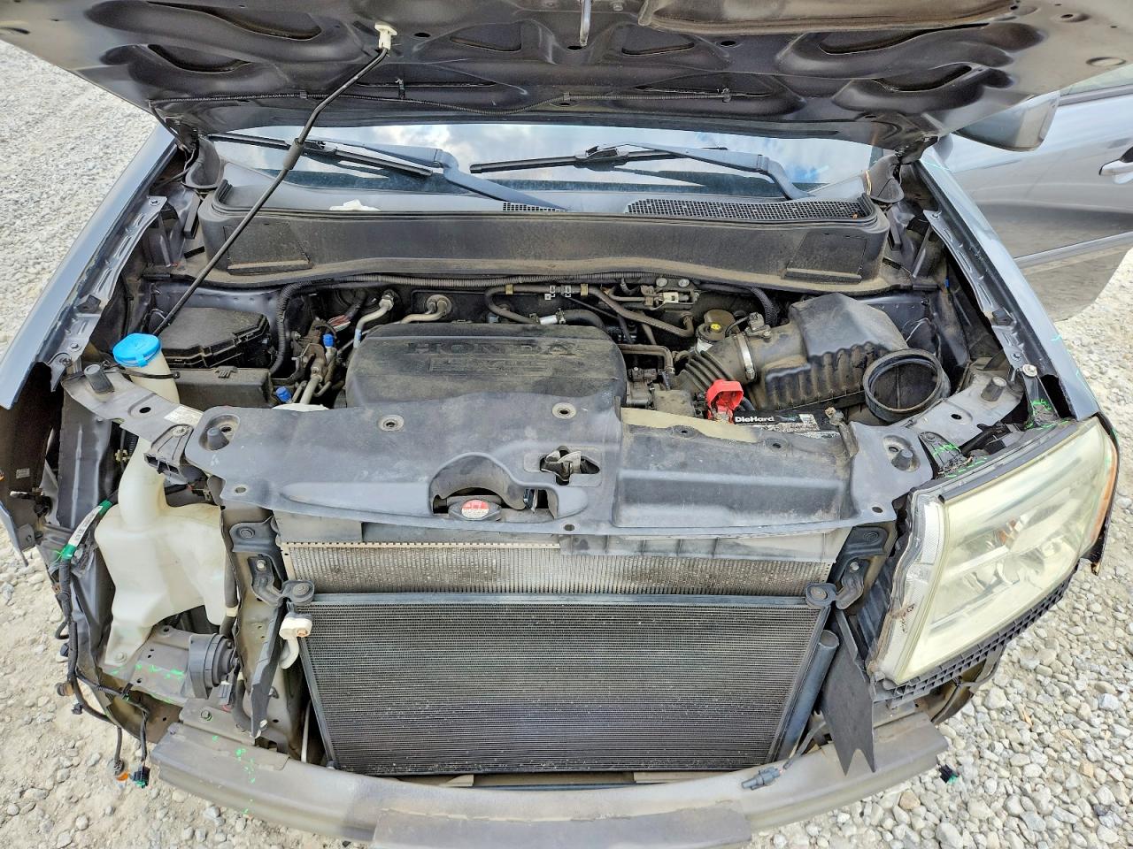 2013 HONDA PILOT EXL photo 12