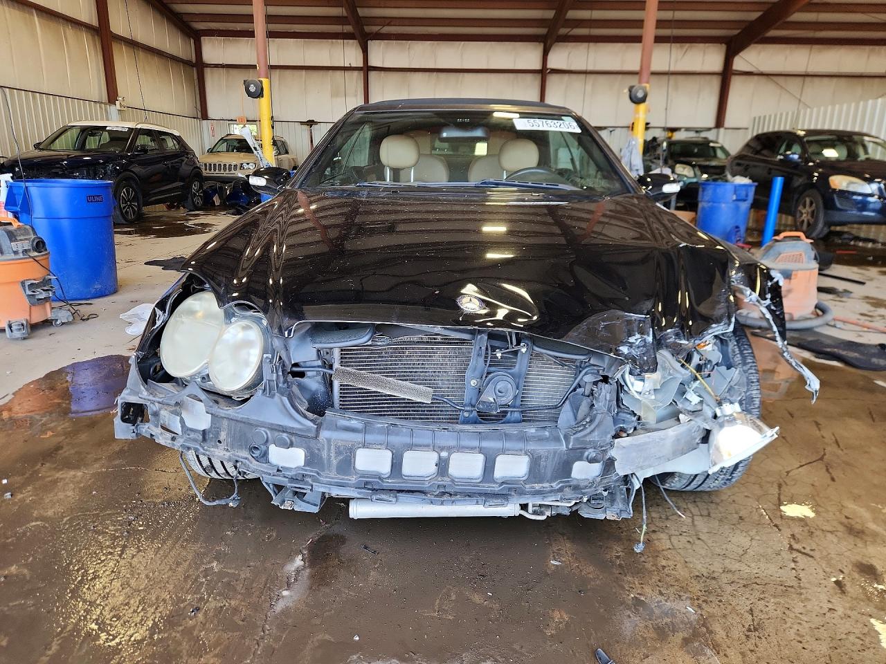 2009 MERCEDES-BENZ CLK 350 photo 13