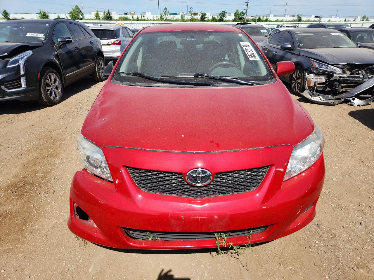 2009 TOYOTA COROLLA LE photo 5