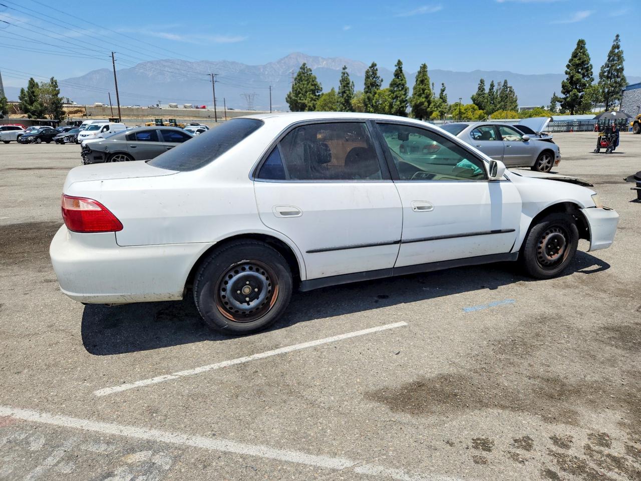 1999 HONDA ACCORD LX photo 5