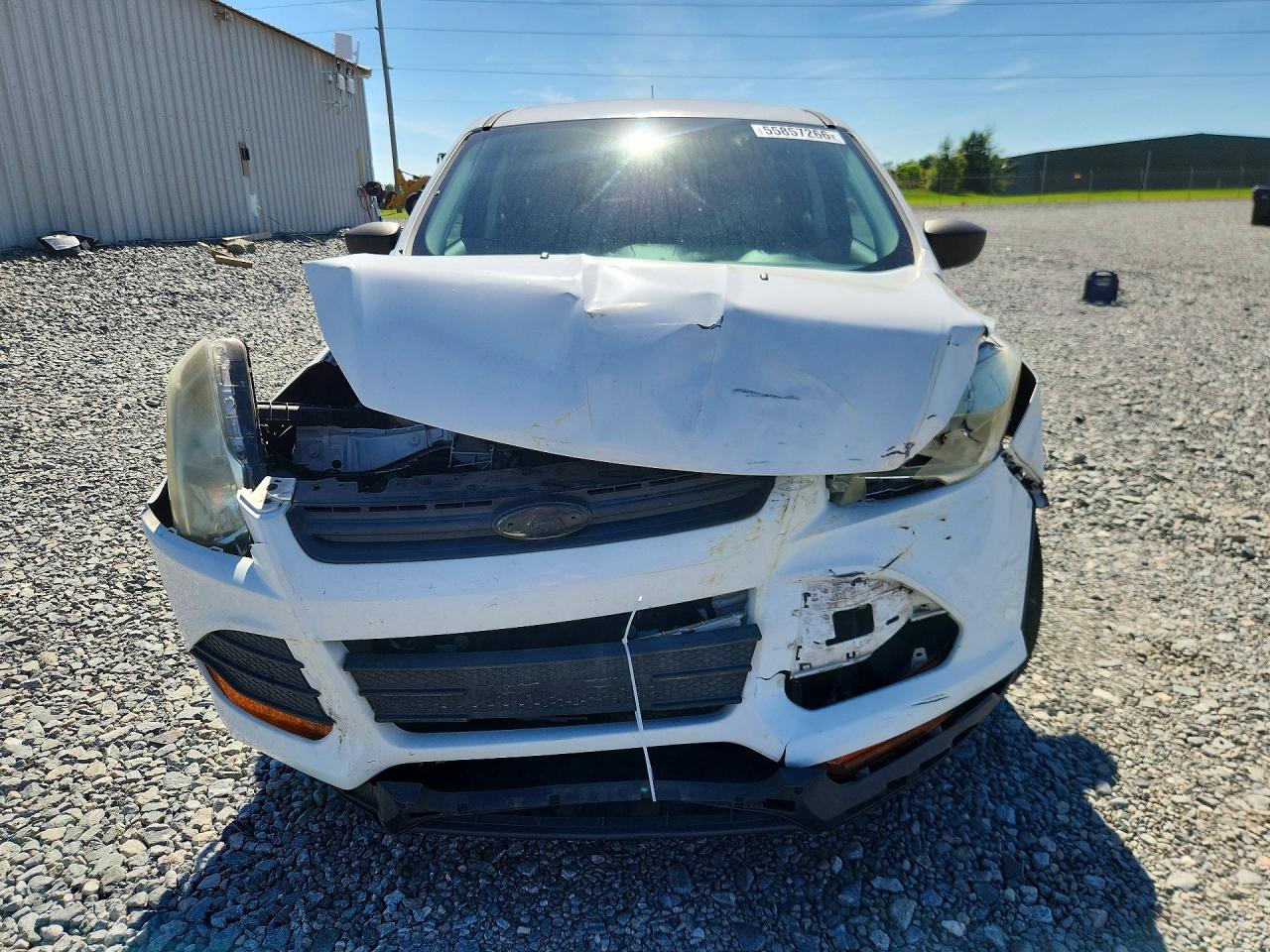 2014 FORD ESCAPE S photo 9