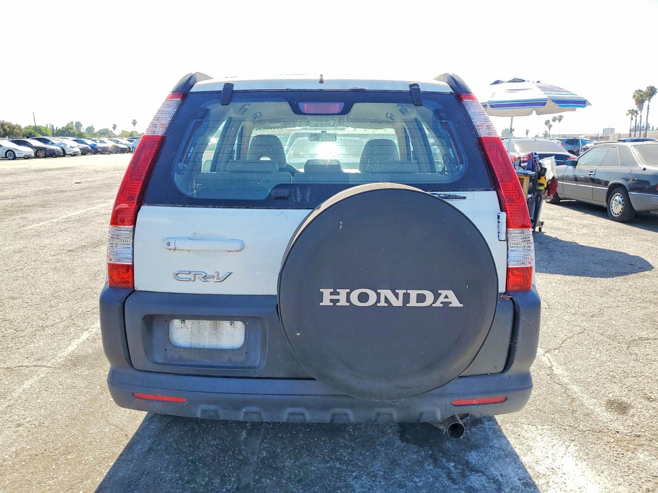 2005 HONDA CR-V LX photo 11