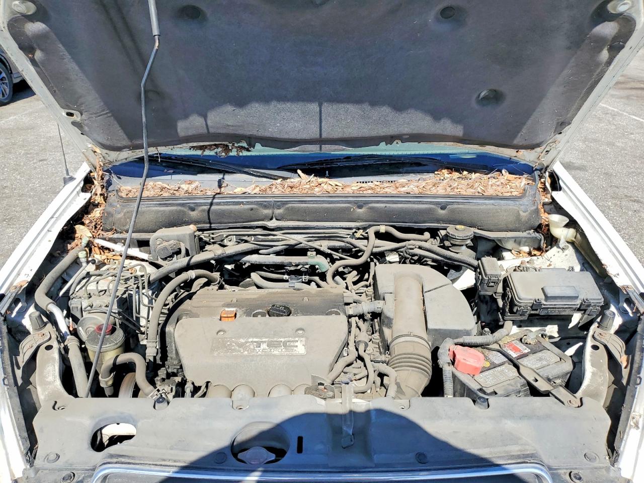 2005 HONDA CR-V LX photo 23