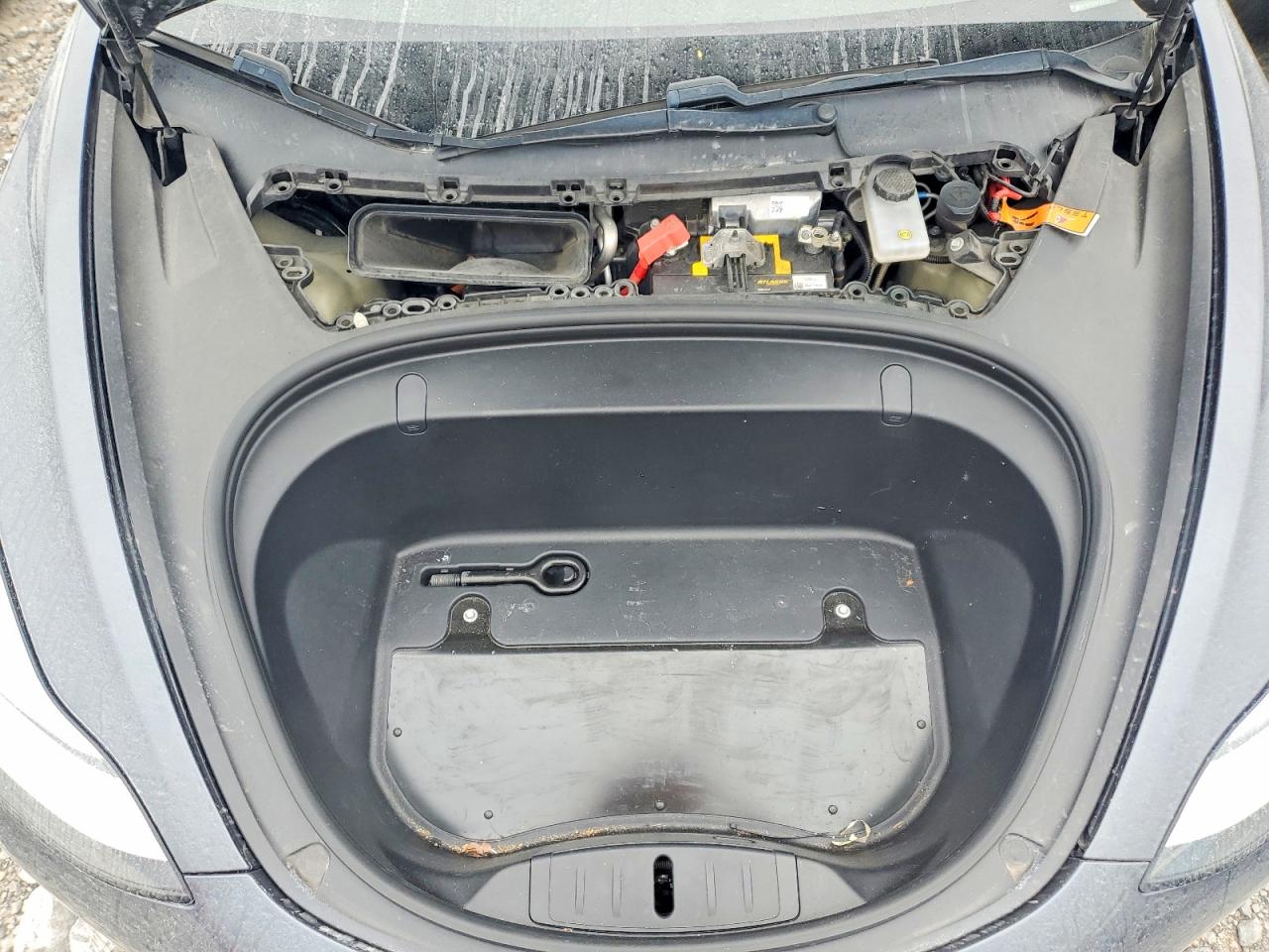 2019 TESLA MODEL 3 photo 11