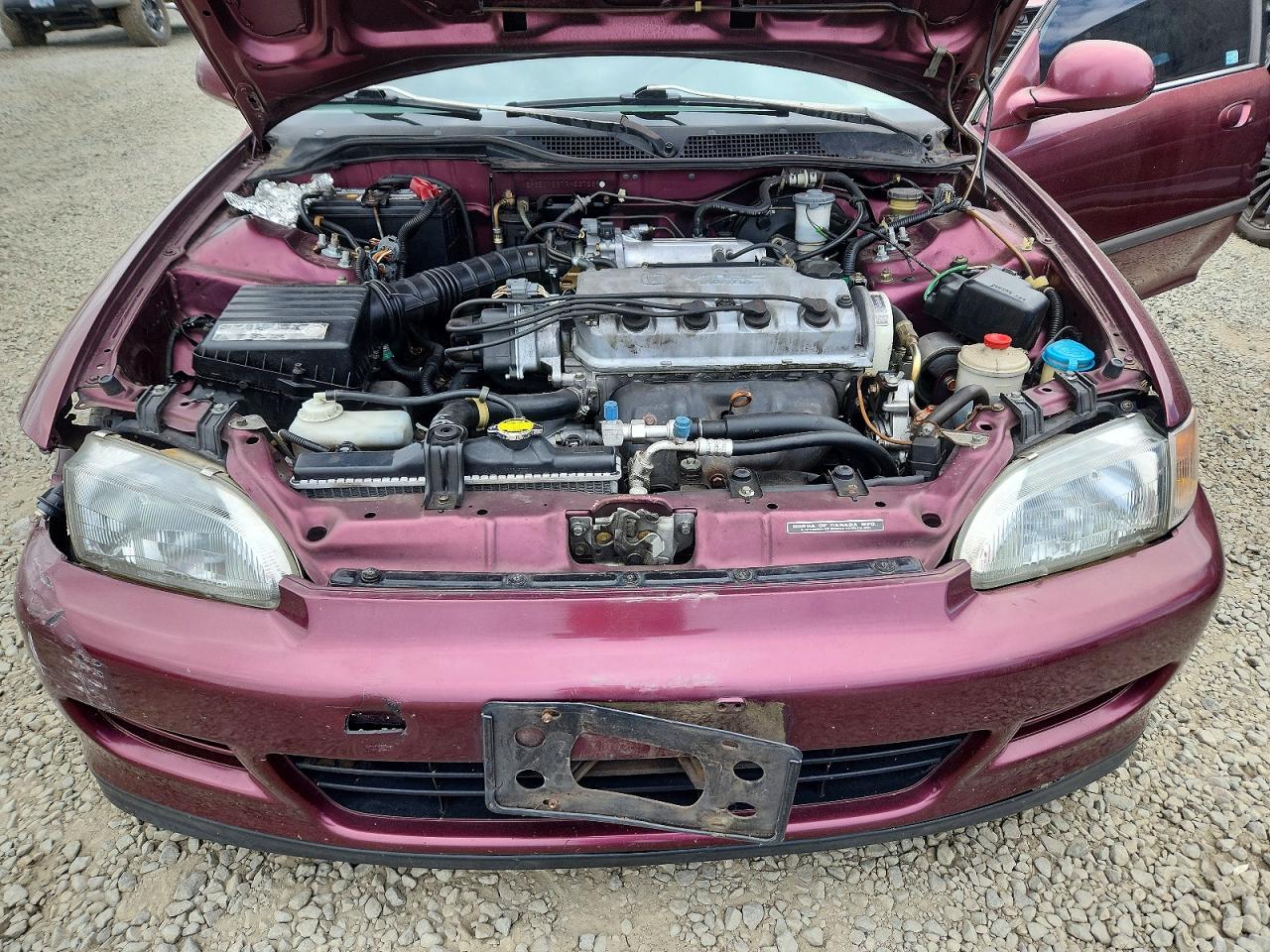 1994 HONDA CIVIC EX photo 11