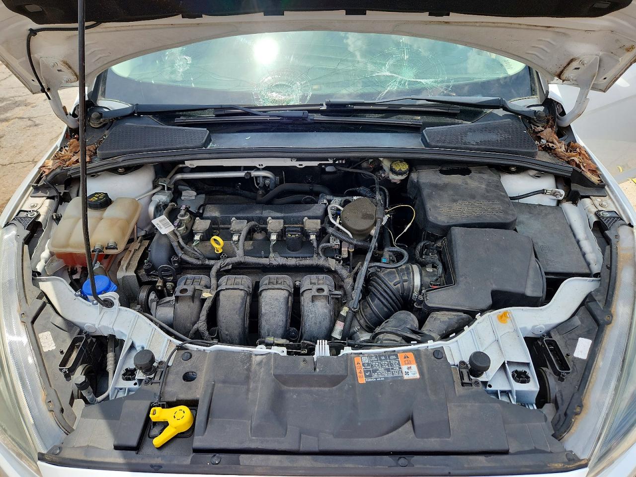 2015 FORD FOCUS SE photo 21
