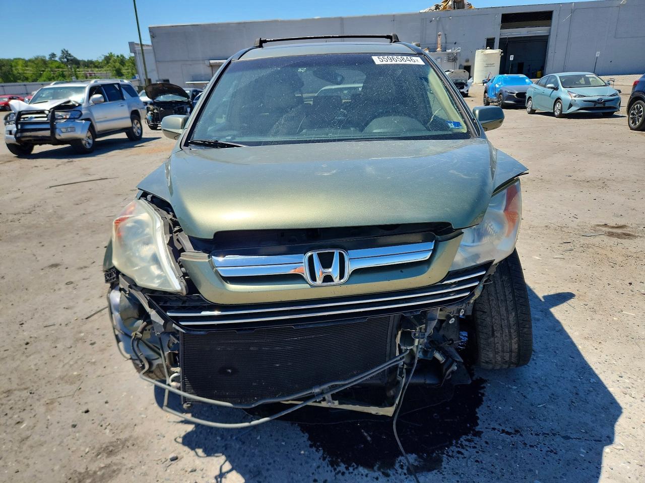 2009 HONDA CR-V EXL photo 9