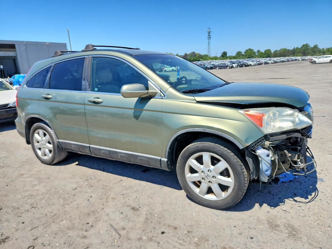 2009 HONDA CR-V EXL photo 7