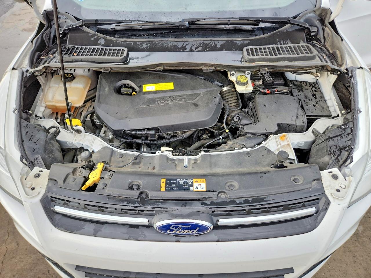2016 FORD ESCAPE SE photo 12