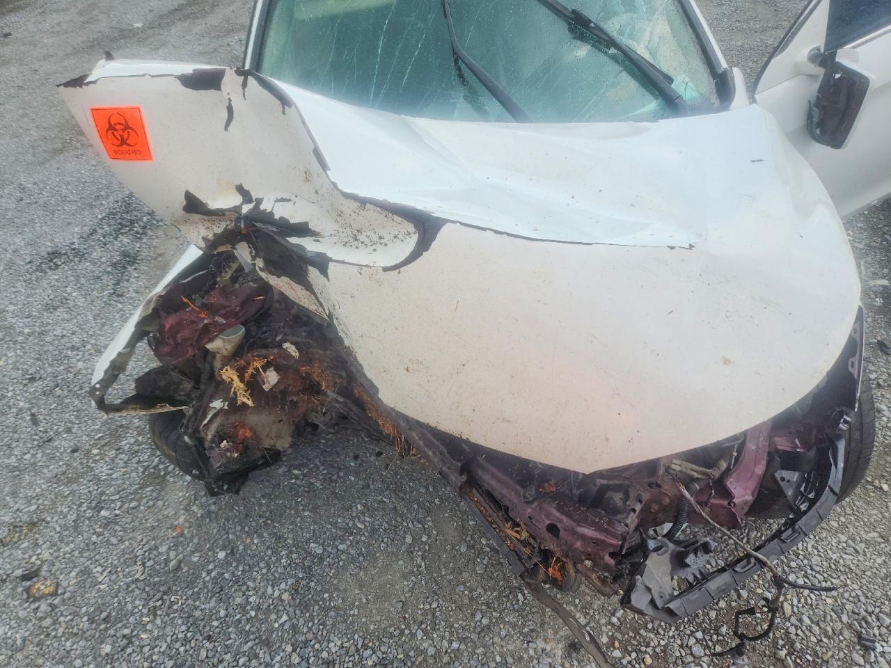 2014 HONDA ACCORD EX photo 31