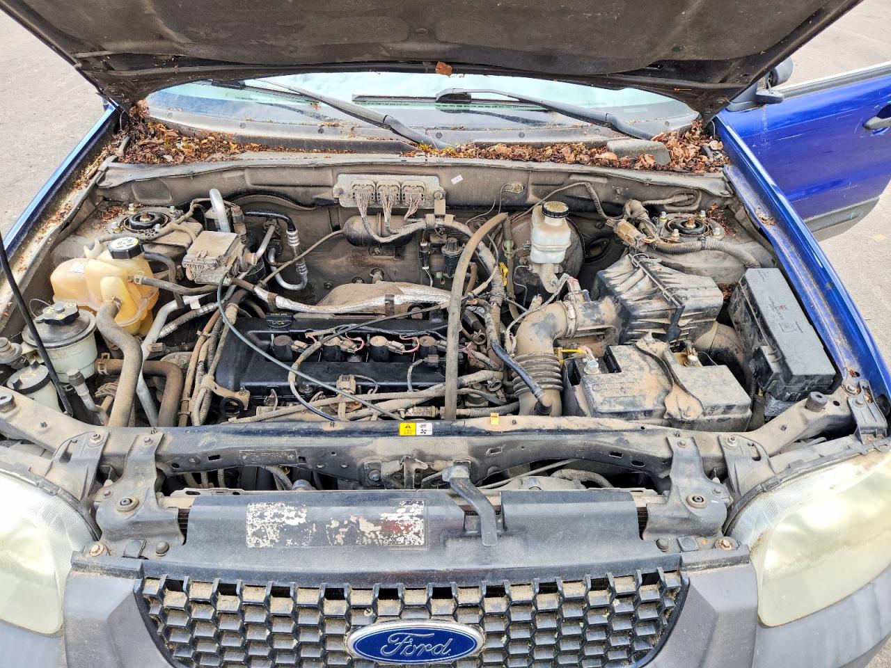 2006 FORD ESCAPE XLS photo 21