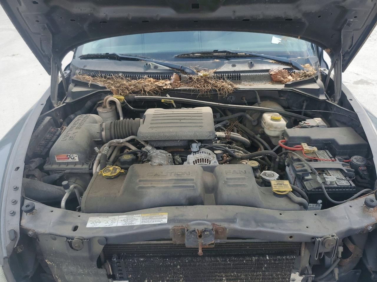 2003 DODGE DAKOTA QUAD SLT photo 11