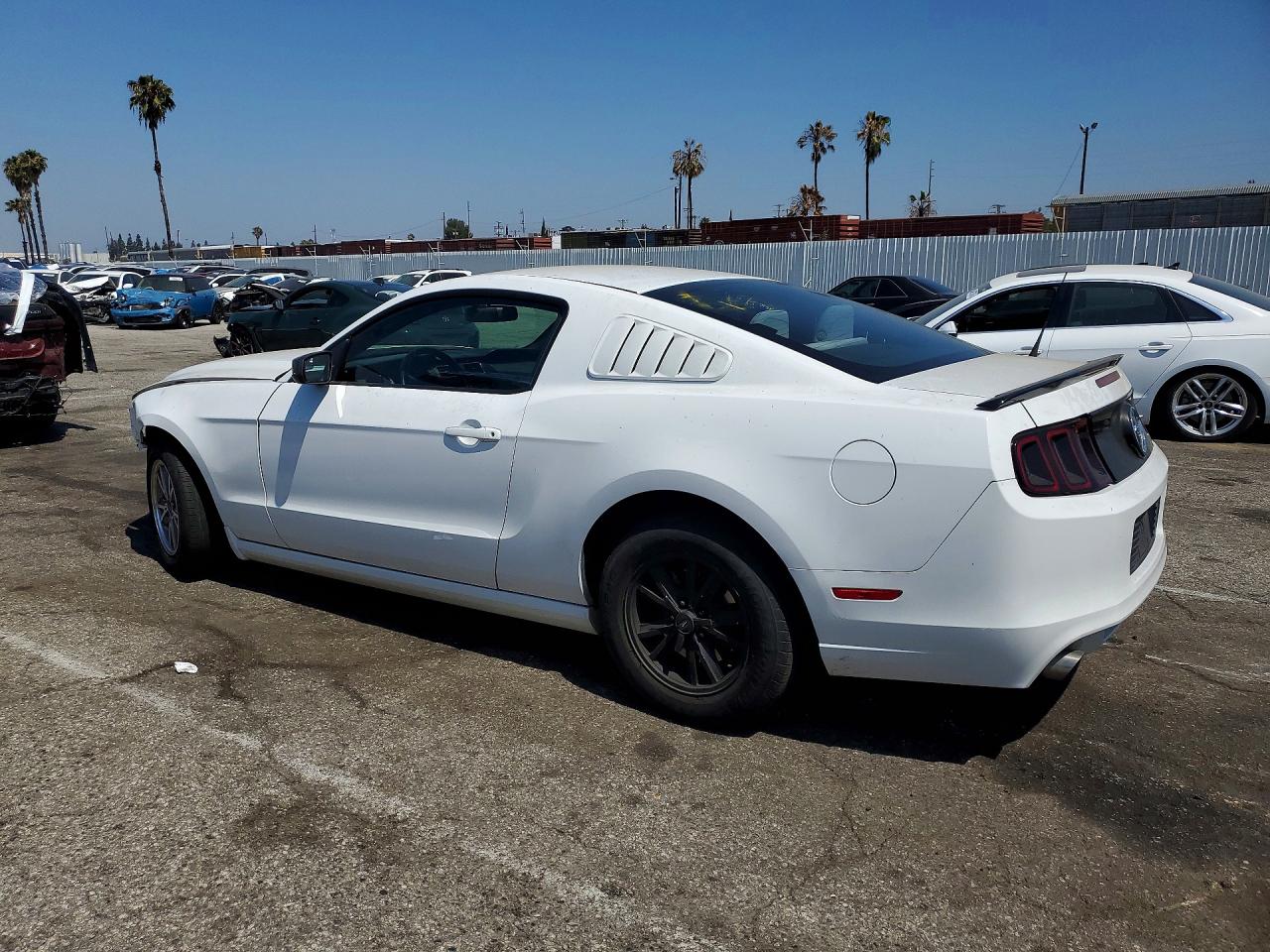 2014 FORD MUSTANG photo 3