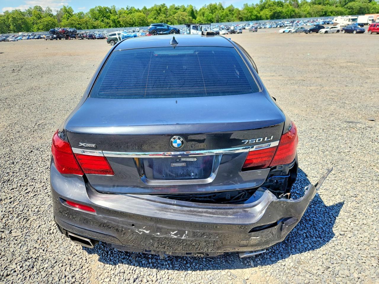 2013 BMW 750 LXI photo 11