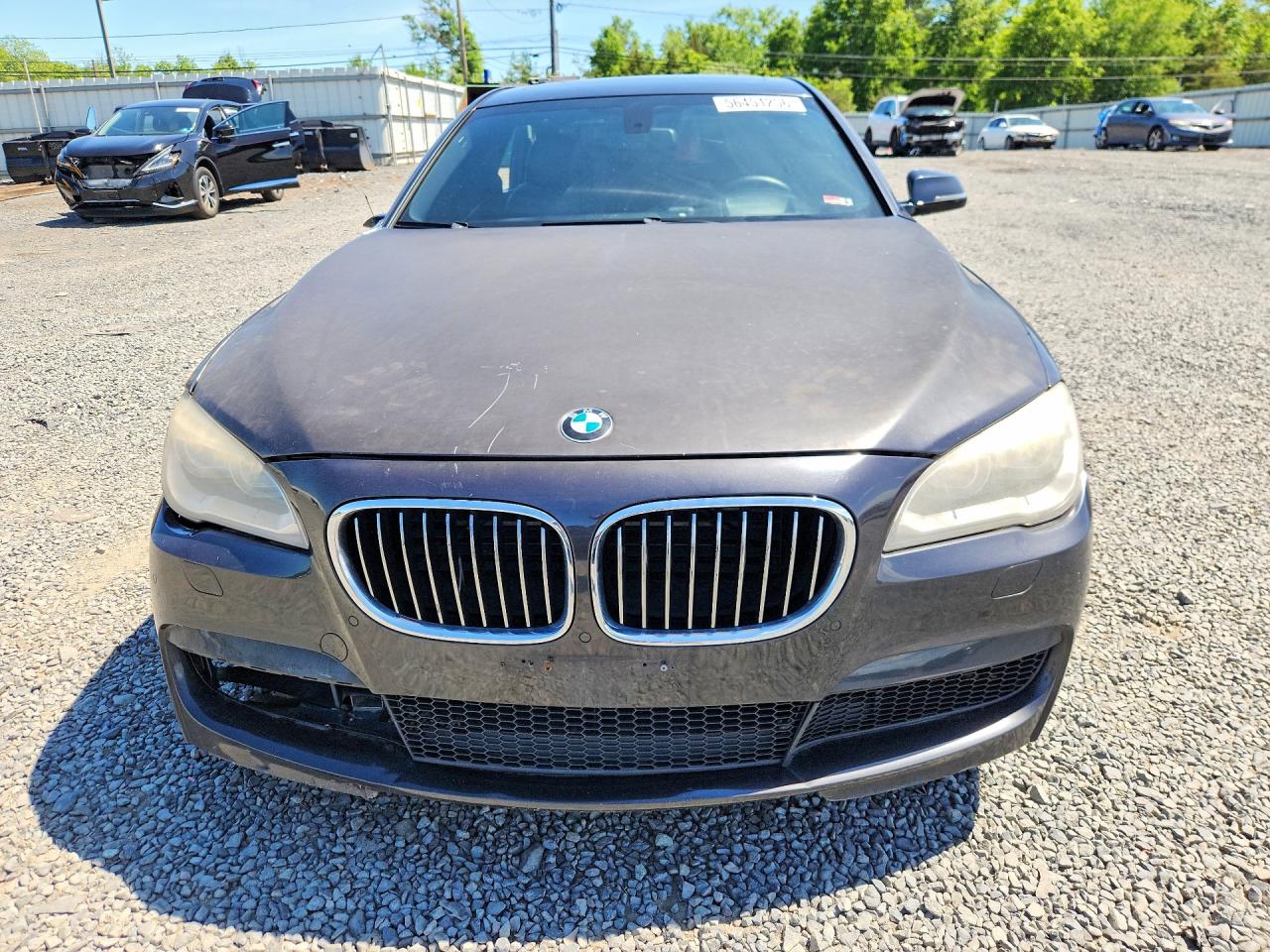 2013 BMW 750 LXI photo 9
