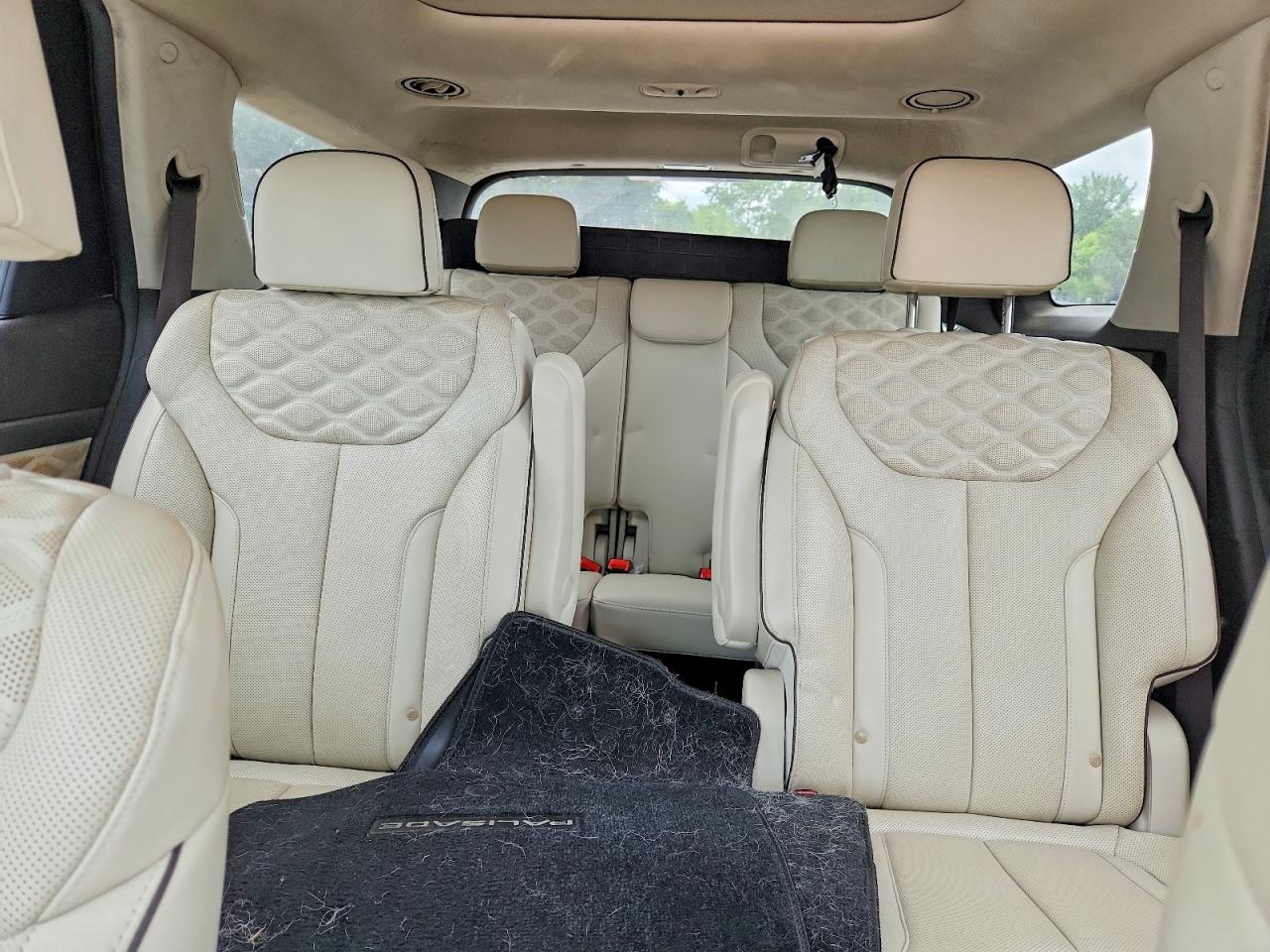 2020 HYUNDAI PALISADE LIMITED photo 28
