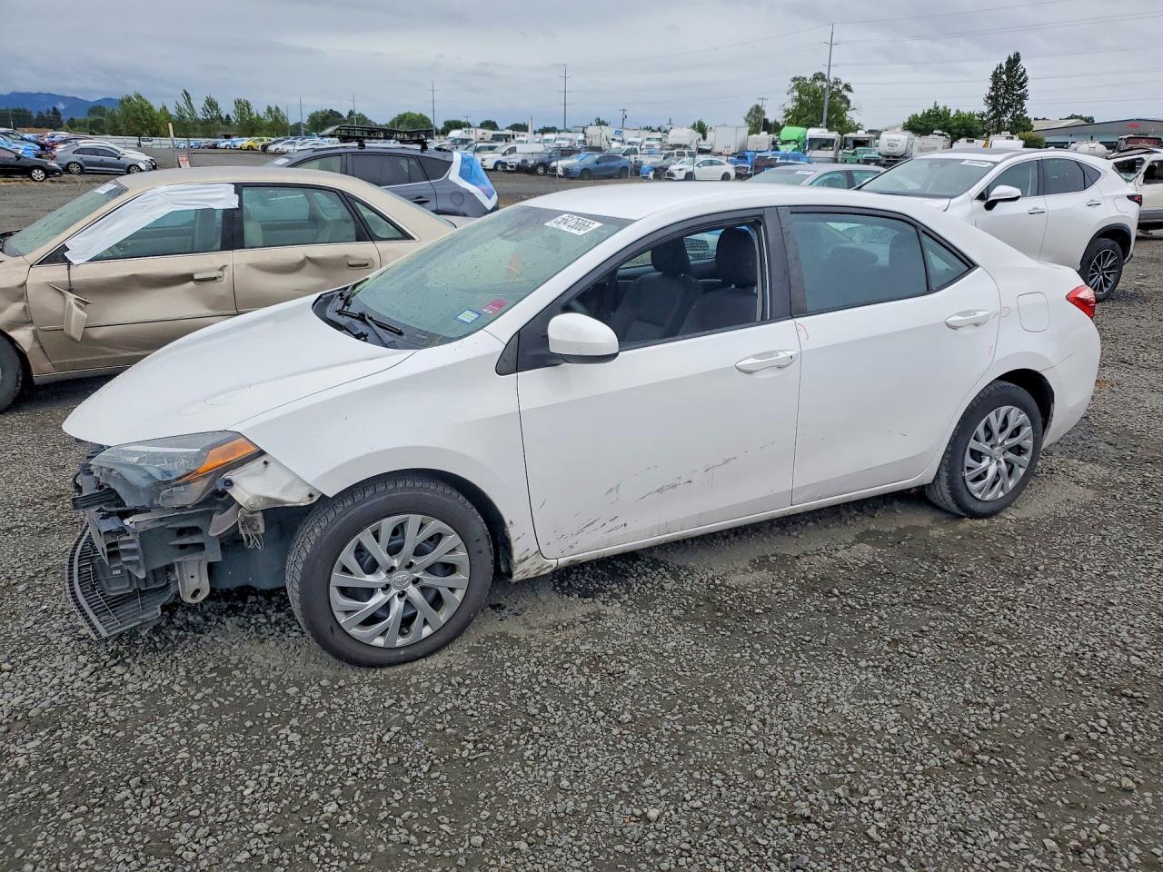 2019 TOYOTA COROLLA LE — FRONT END damage — photo 1