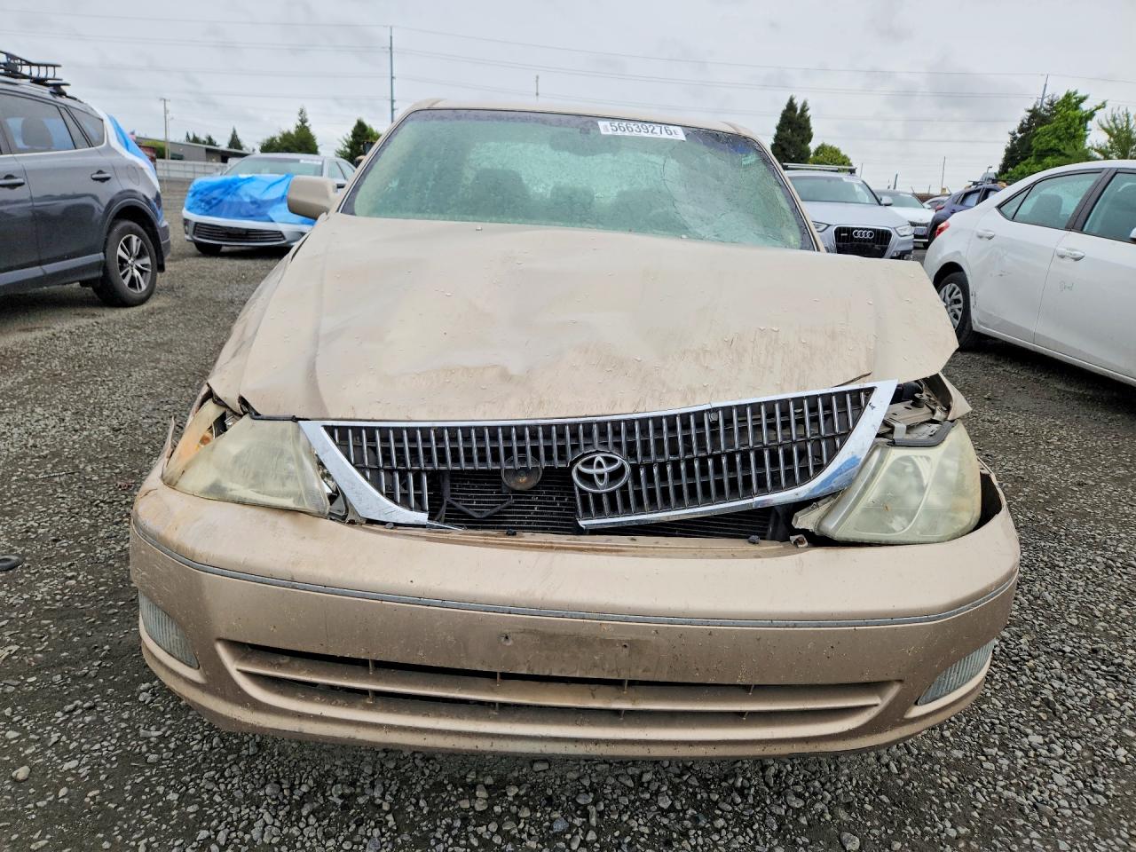 2002 TOYOTA AVALON XLS photo 5