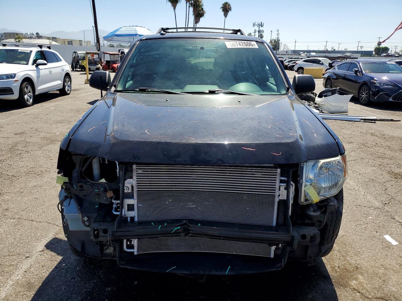 2012 FORD ESCAPE XLT photo 5