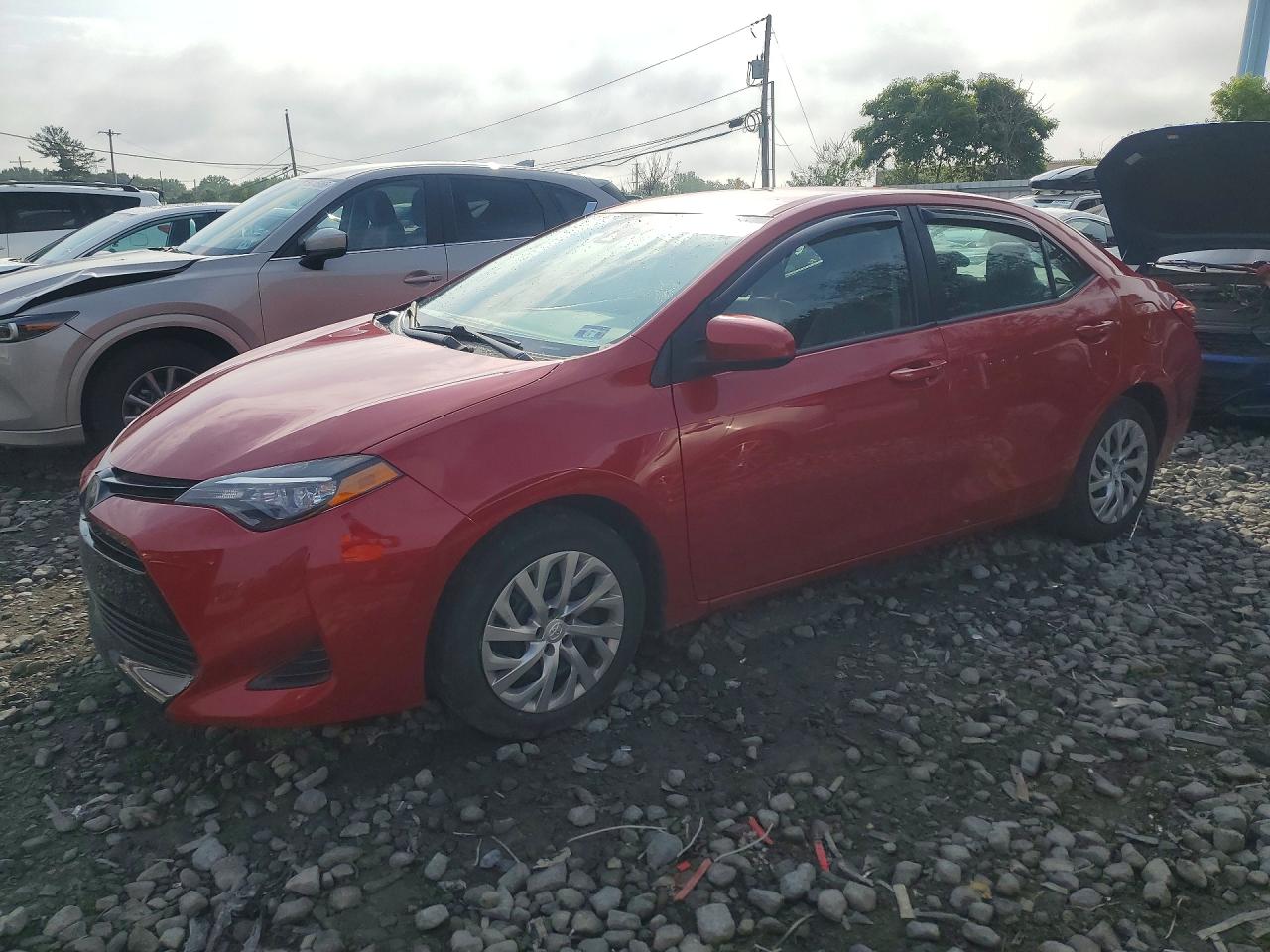 2019 TOYOTA COROLLA