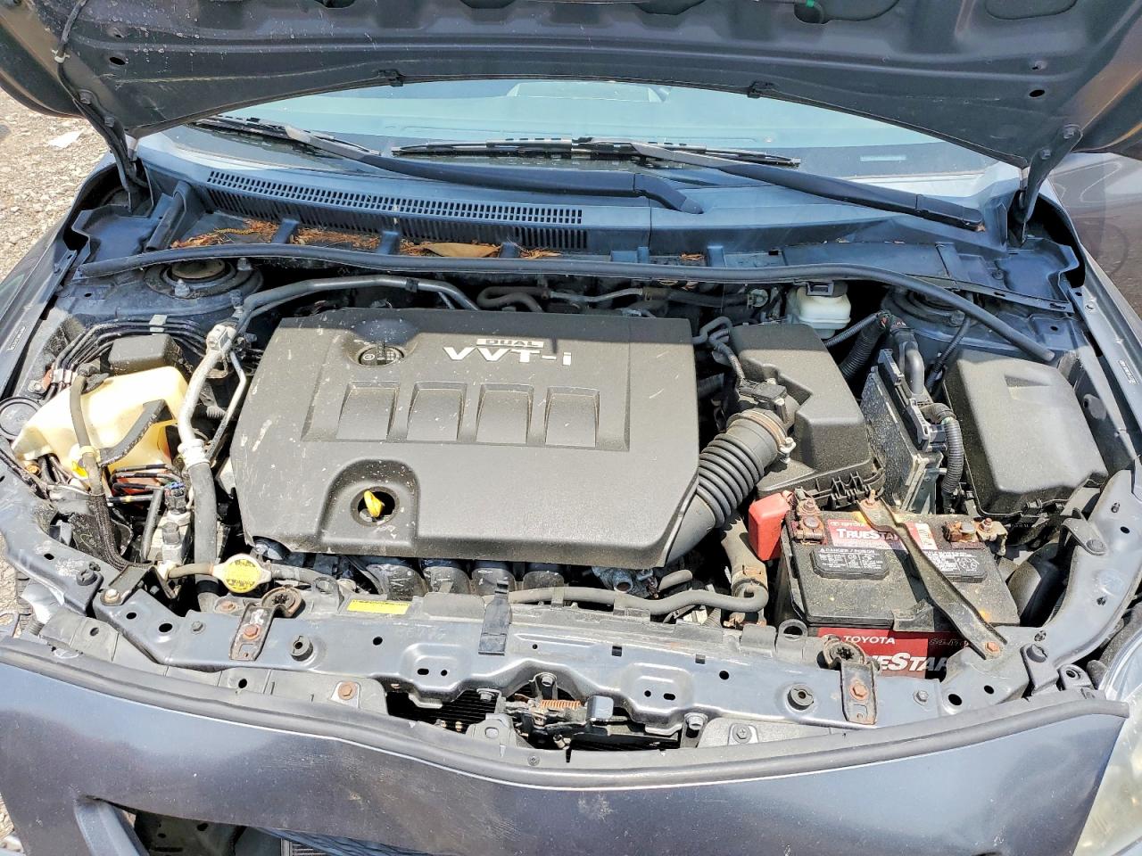 2010 TOYOTA COROLLA S photo 11