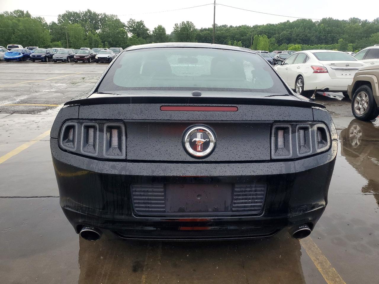2014 FORD MUSTANG photo 16