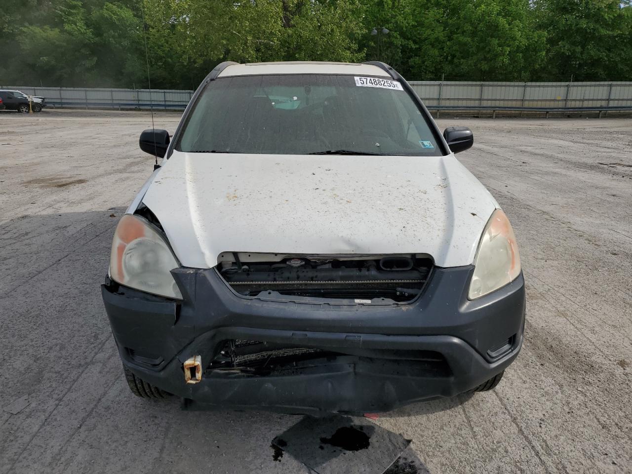 2004 HONDA CR-V EX photo 5