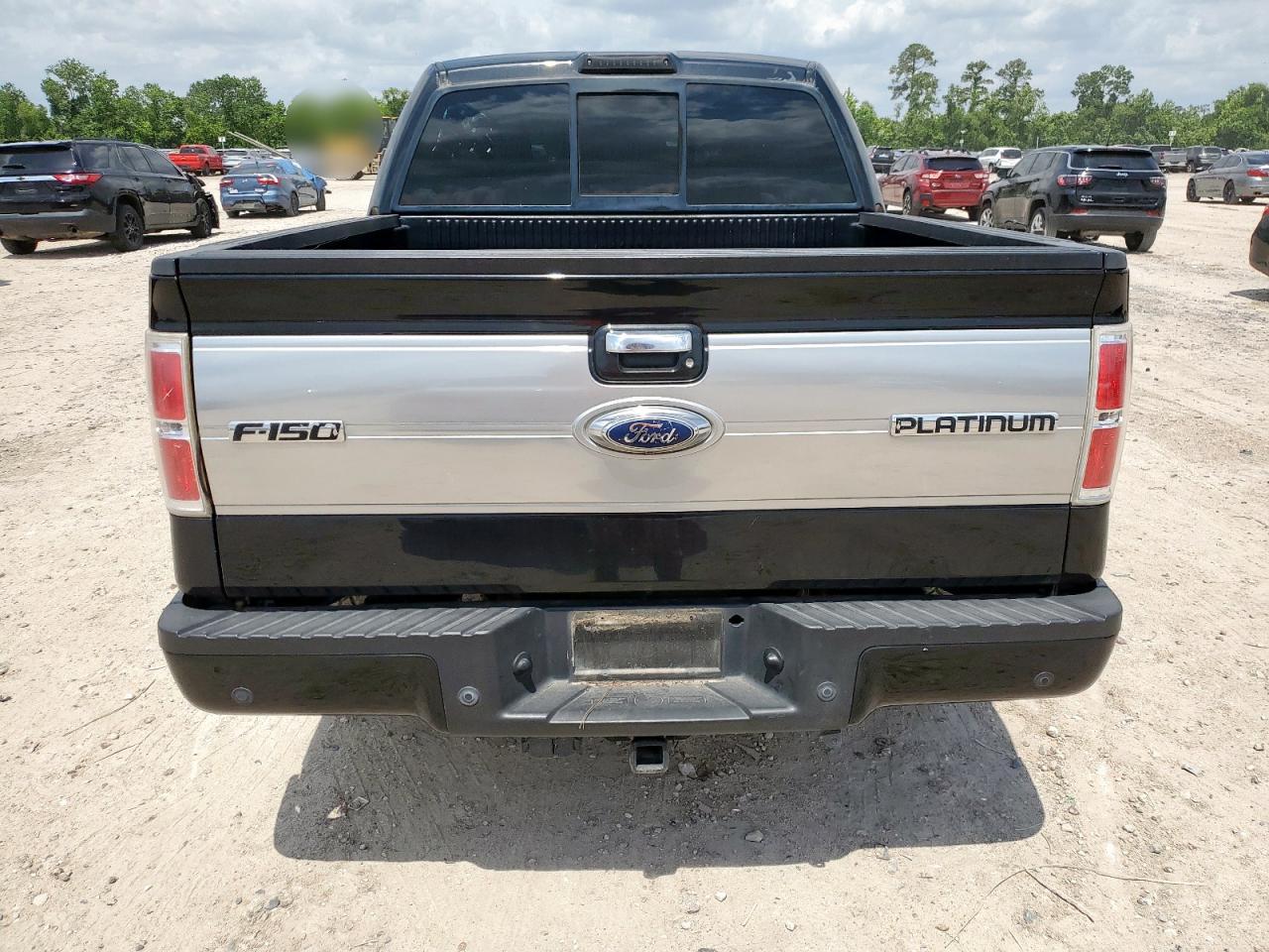 2010 FORD F150 photo 11