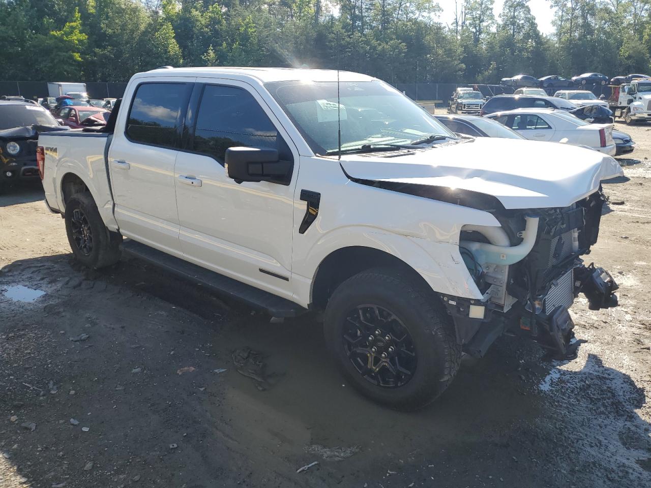 2024 FORD F150 XLT photo 7