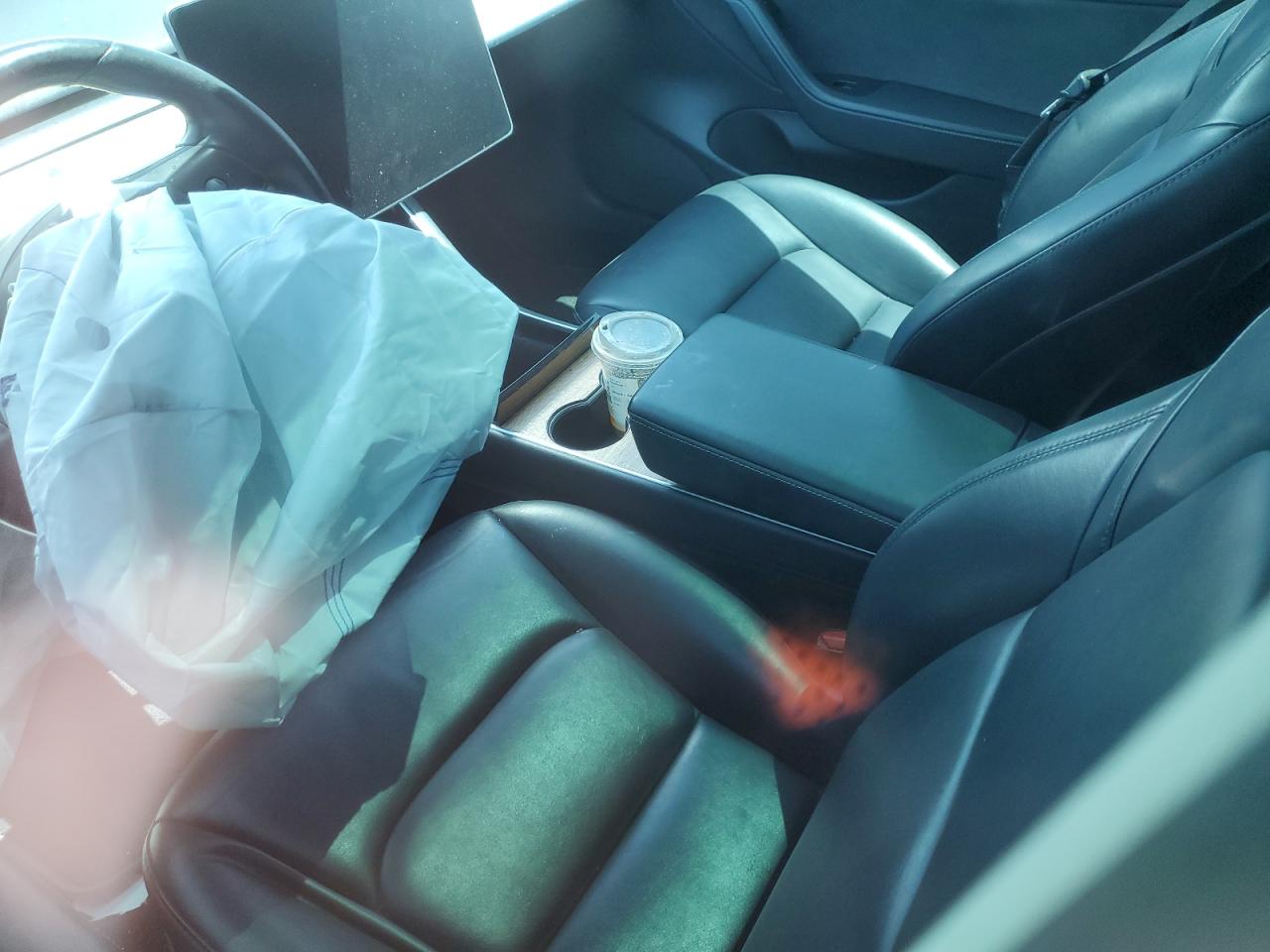 2019 TESLA MODEL 3 photo 13