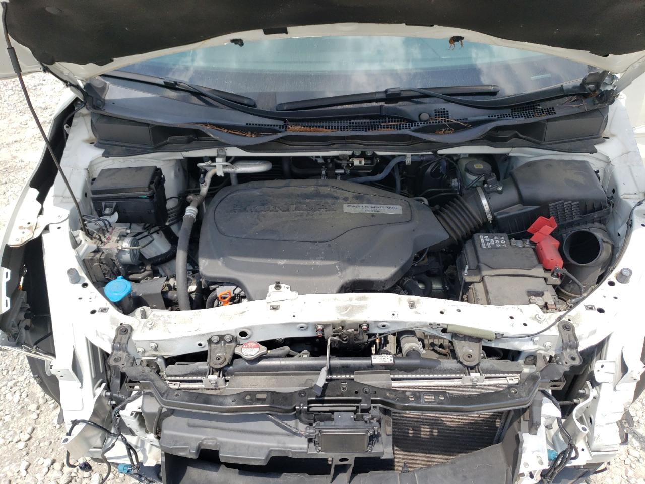 2019 HONDA ODYSSEY EXL photo 34