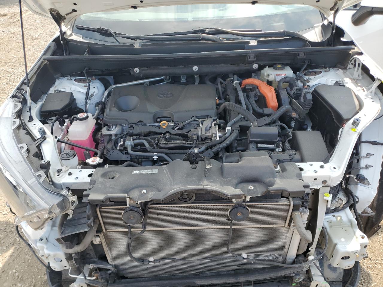 2019 TOYOTA RAV4 LE photo 23