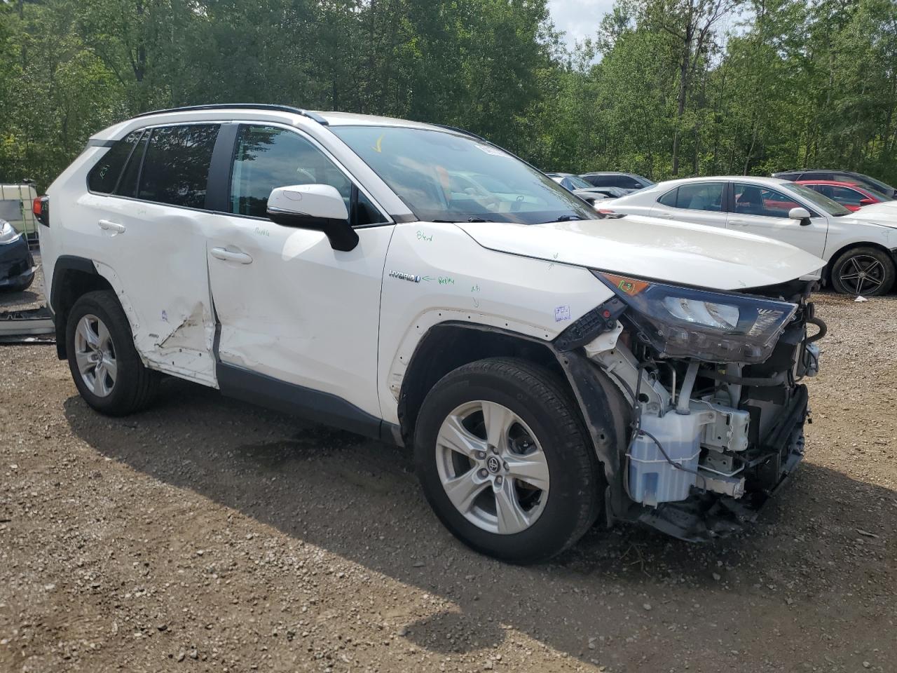 2019 TOYOTA RAV4 LE photo 7