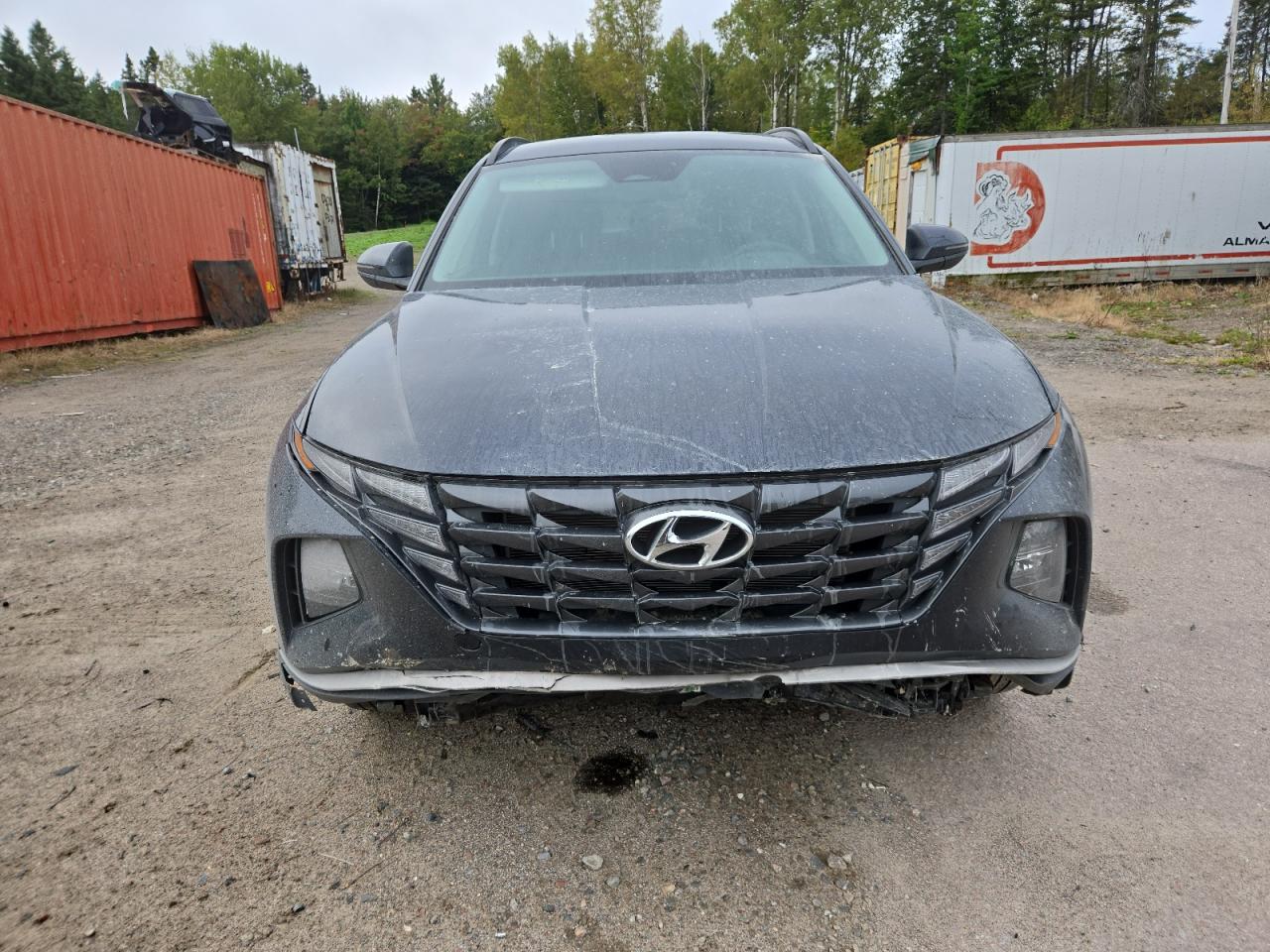 2023 HYUNDAI TUCSON SEL photo 5