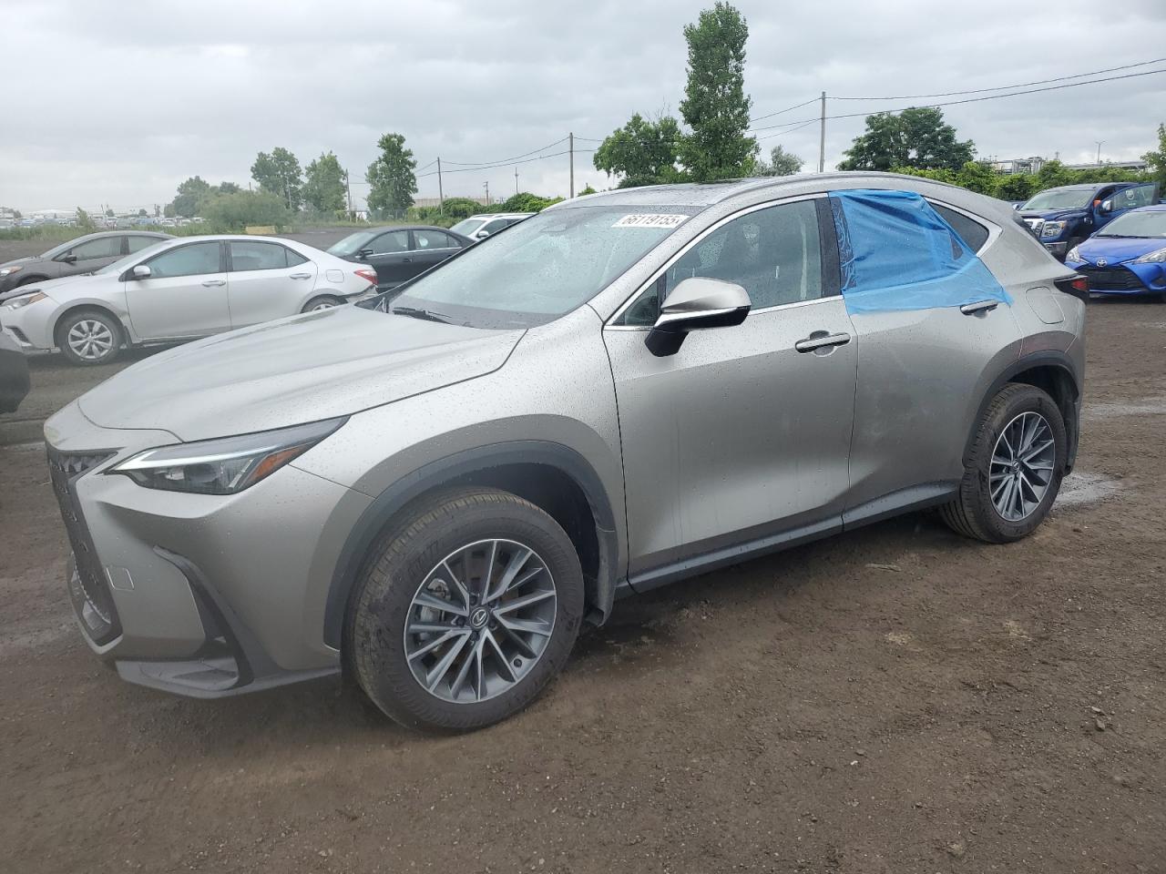 2025 LEXUS NX