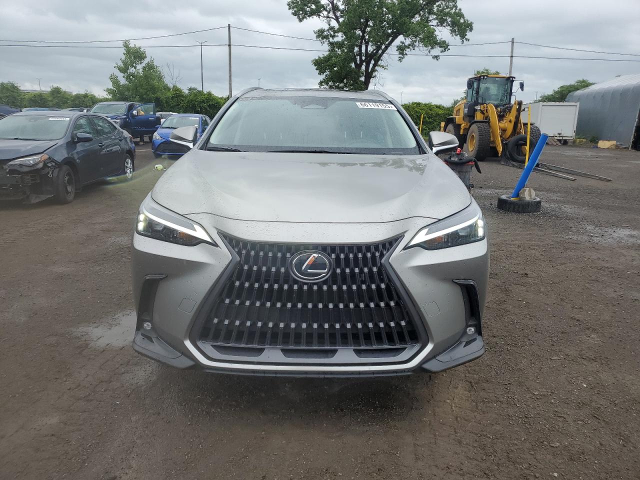 2025 LEXUS NX 450H LUXURY photo 13